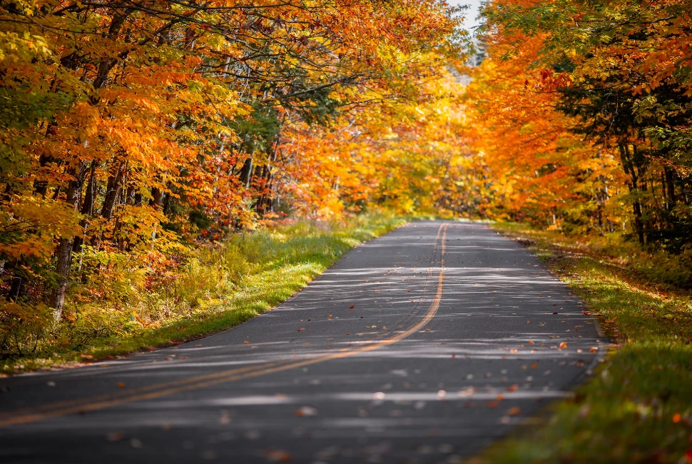 Discover Carp Lake, MI: An Introduction to the Charming City and Its Weather